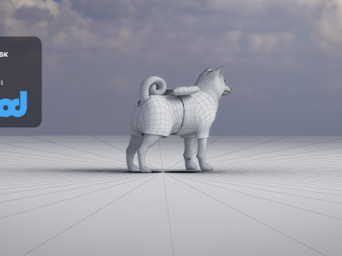 Shiba Inu 3D-Modell