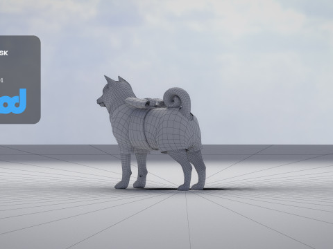 Shiba Inu 3D-Modell