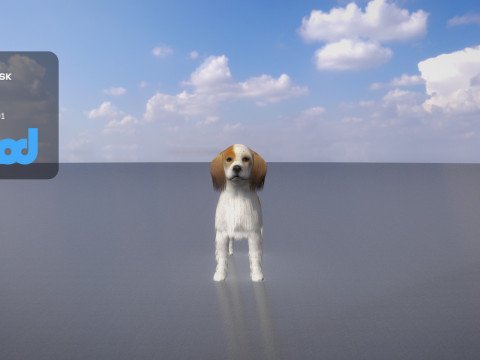 Cocker Spaniel Small Dog 3D Model