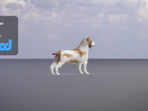 Cocker Spaniel Small Dog 3Dモデル