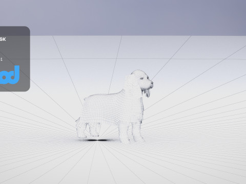 Cocker Spaniel Small Dog 3Dモデル
