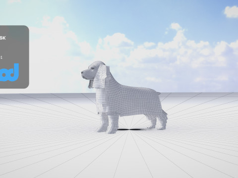 Cocker Spaniel Small Dog 3Dモデル
