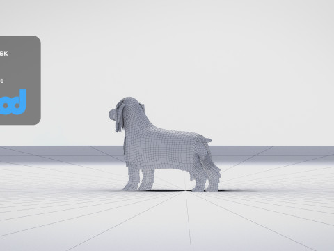 Cocker Spaniel Small Dog 3Dモデル
