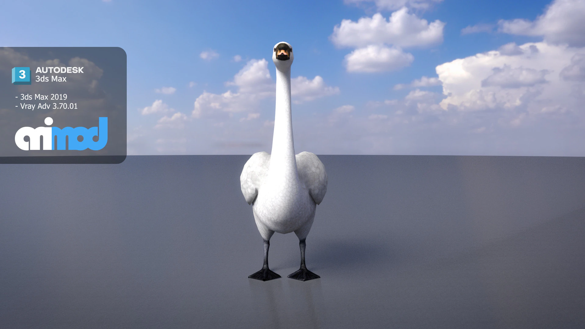 Swan Bird Rigged 3D Model .c4d .max .obj .3ds .fbx .stl .blend