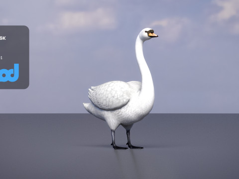 Swan Bird Rigged 3D-Modell