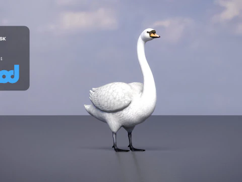 Swan Bird Rigged 3D Model