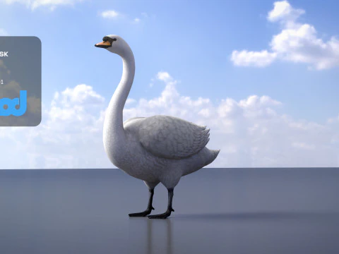Swan Bird Rigged 3D Model