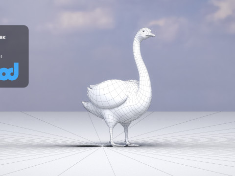 Swan Bird Rigged 3D-Modell