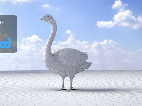 Swan Bird Rigged 3D-Modell
