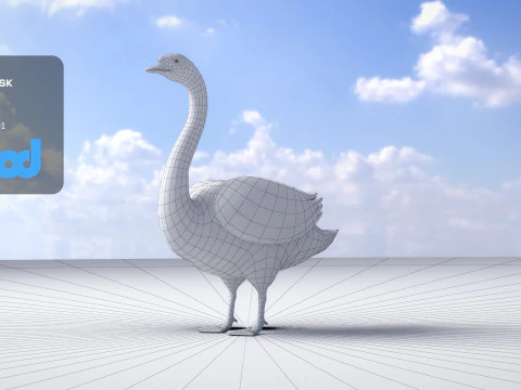 Swan Bird Rigged 3D Model