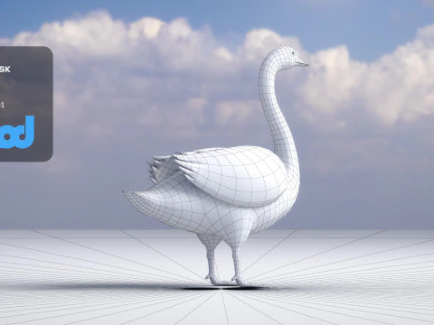 Swan Bird Rigged 3D Model