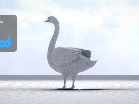Swan Bird Rigged 3D Model