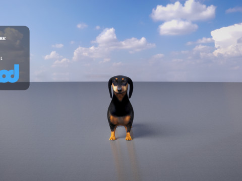 Dachshund 3Dモデル