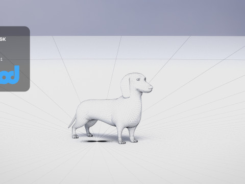 Dachshund 3D Model