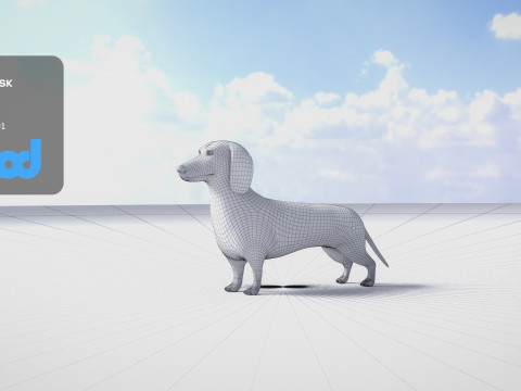 Dachshund 3D Model