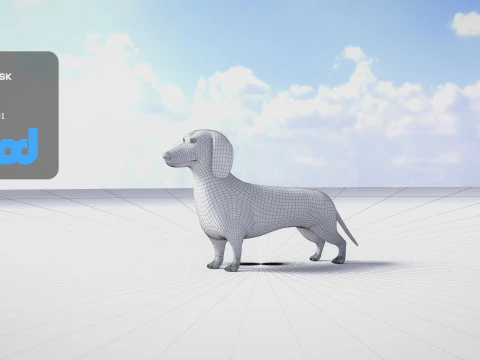 Dachshund 3D Model