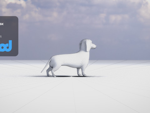 Dachshund 3D Model
