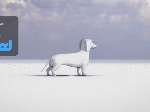 Dachshund 3D Model