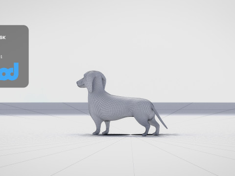 Dachshund 3D Model
