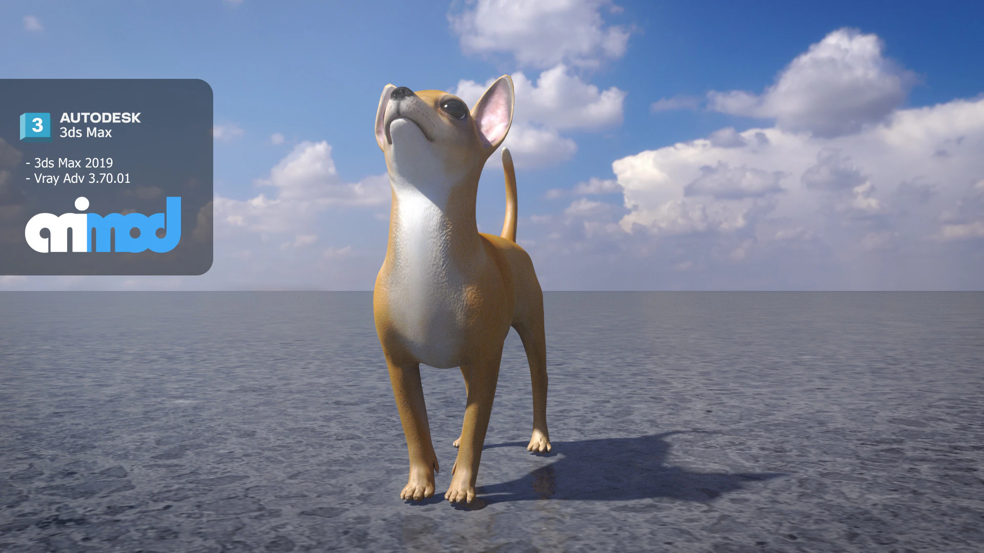 Chihuahua Dog 3D Model .c4d .max .obj .3ds .fbx .stl .blend 