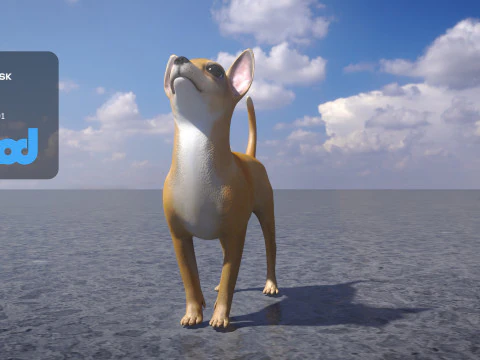 चिहुआहुआ कुत्ता 3D मॉडल