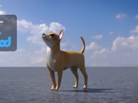 Chihuahua Dog 3D Model