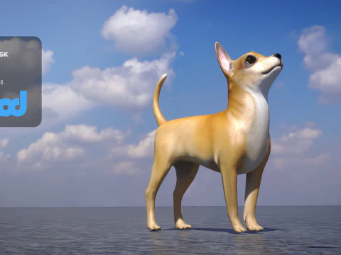 Chihuahua Dog 3D Model