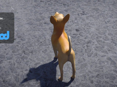 Chihuahua Dog 3D Model