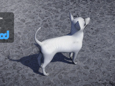 Chihuahua Dog 3D Model