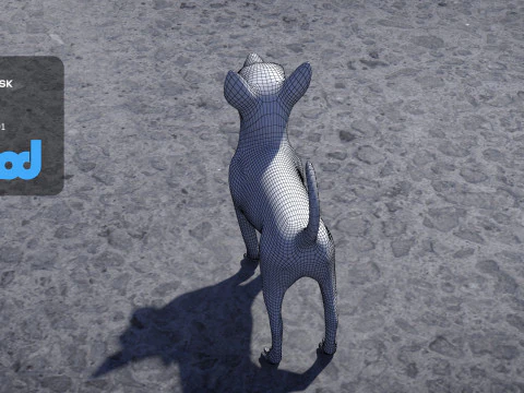 Chihuahua Dog 3D Model