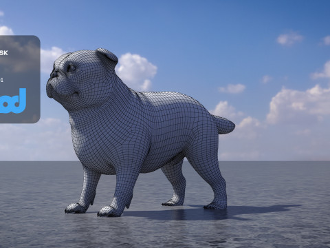 Pug Dog Model 3D