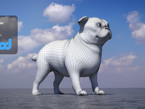 Pug Dog Model 3D