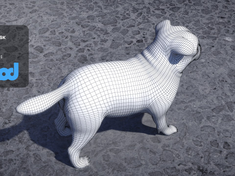 Pug Dog Model 3D