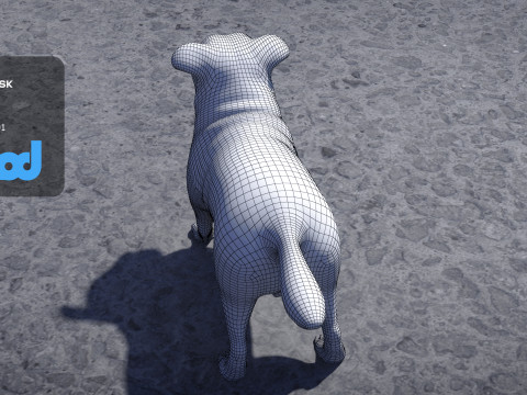 Pug Dog Model 3D