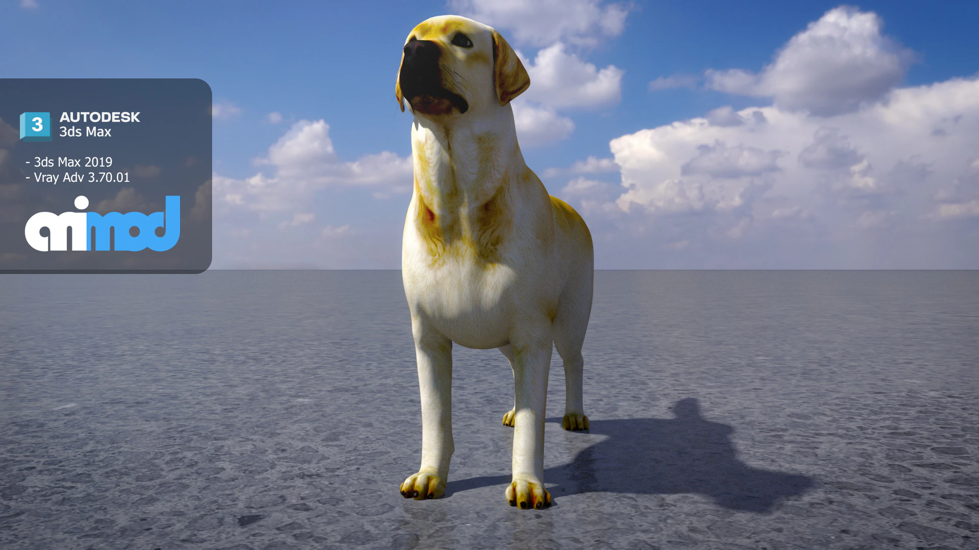 Labrador Retriever 3D Model .c4d .max .obj .3ds .fbx .stl .blend