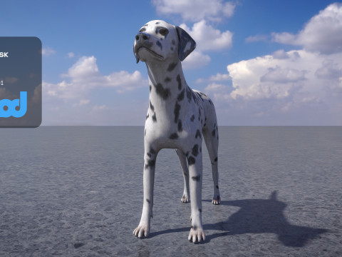 Dalmatian 3D Model
