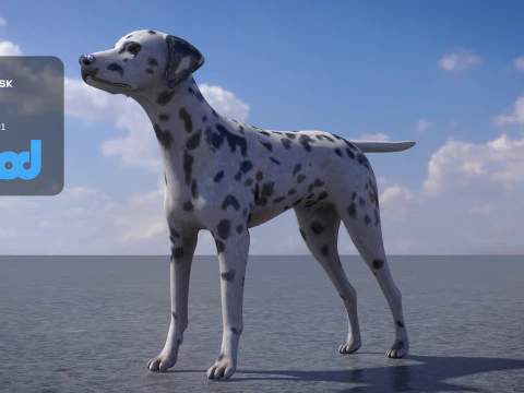 Dalmatian 3D Model
