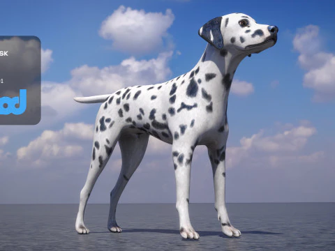 Dalmatian 3D Model