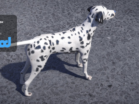 Dalmatian Modelo 3D