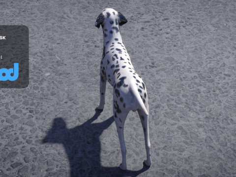 Dalmatian Modelo 3D