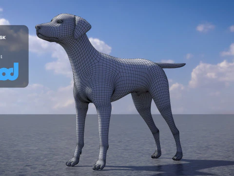 Dalmatian 3D Model