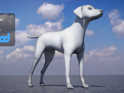 Dalmatian 3D Model