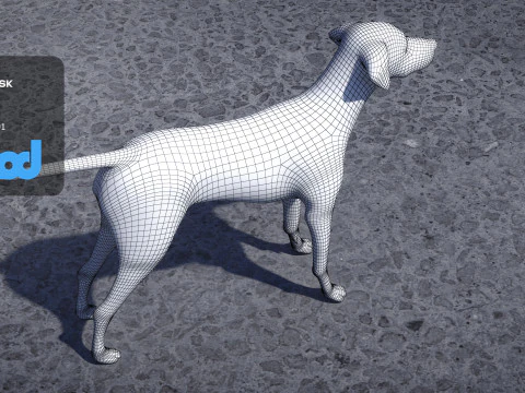 Dalmatian 3D Model