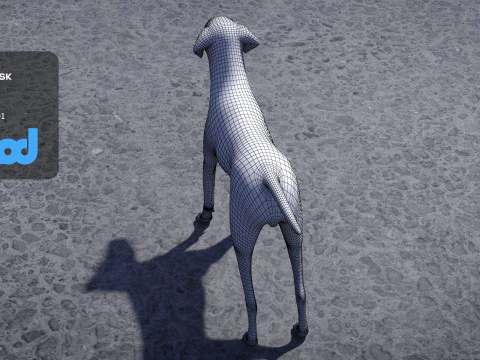 Dalmatian 3D Model