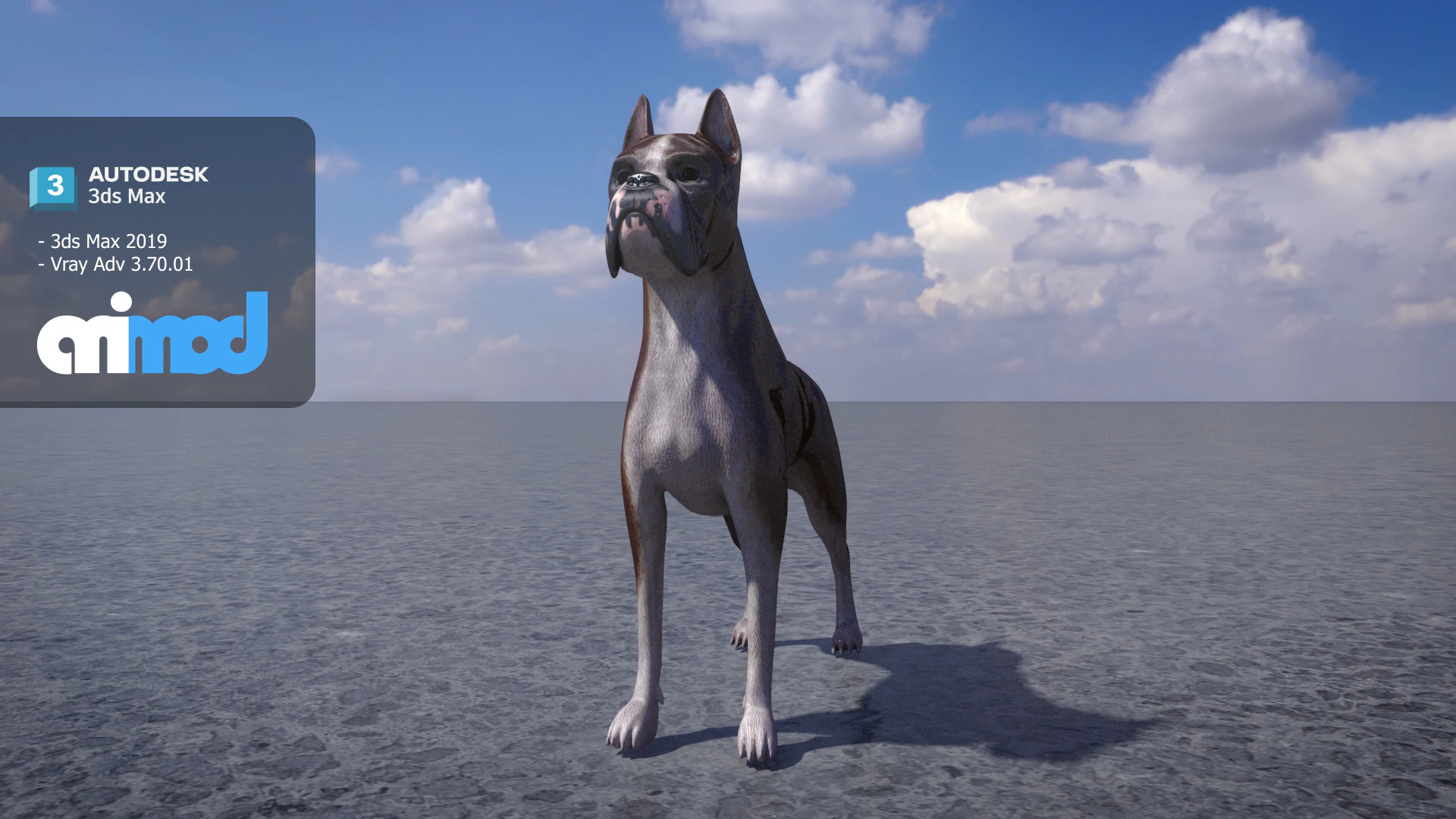 Boxer Dog 3D Model .c4d .max .obj .3ds .fbx .stl .blend 