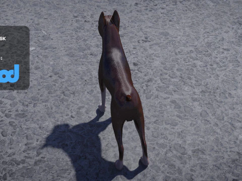 Boxer Dog 3D Model