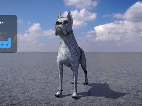 Boxer Dog 3D-Modell