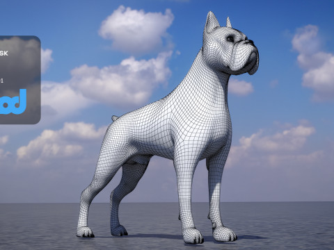 Boxer Dog 3D-Modell