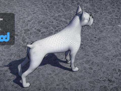 Boxer Dog 3D-Modell