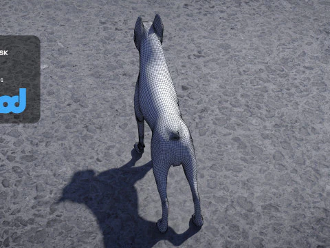 Boxer Dog 3D Model